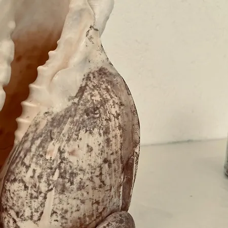 Apartment Panagiotis *