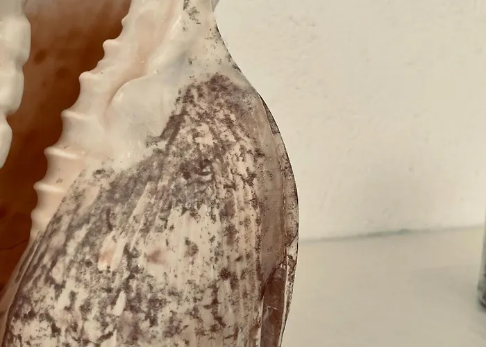 Apartment Panagiotis *